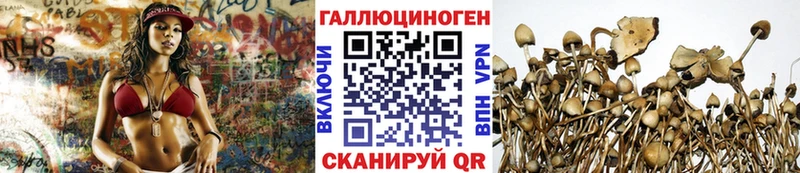 где найти наркотики  Красноармейск  Псилоцибиновые грибы GOLDEN TEACHER 